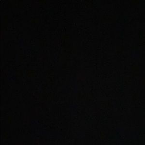 Meet your Posher, Isabella